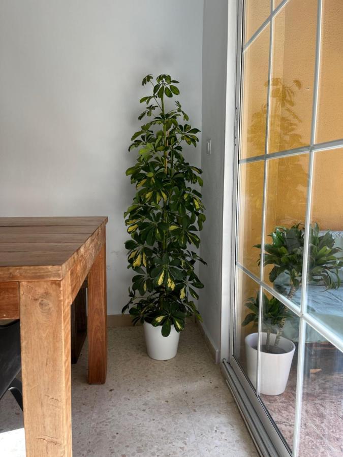 Apartamento La Biznaga Màlaga Exteriér fotografie