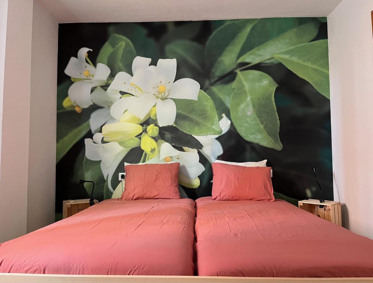 Apartamento La Biznaga Màlaga Exteriér fotografie