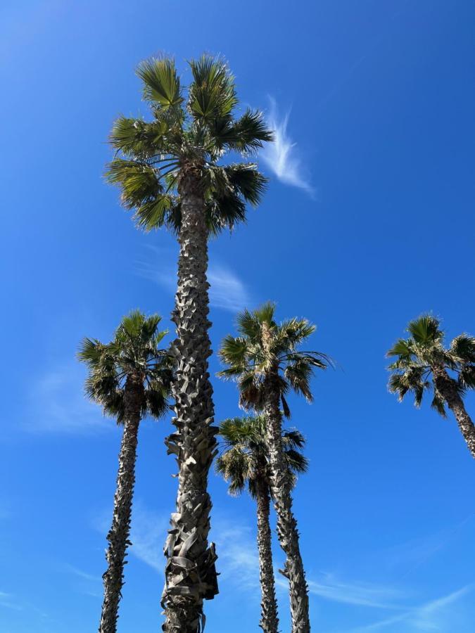 Apartamento La Biznaga Màlaga Exteriér fotografie
